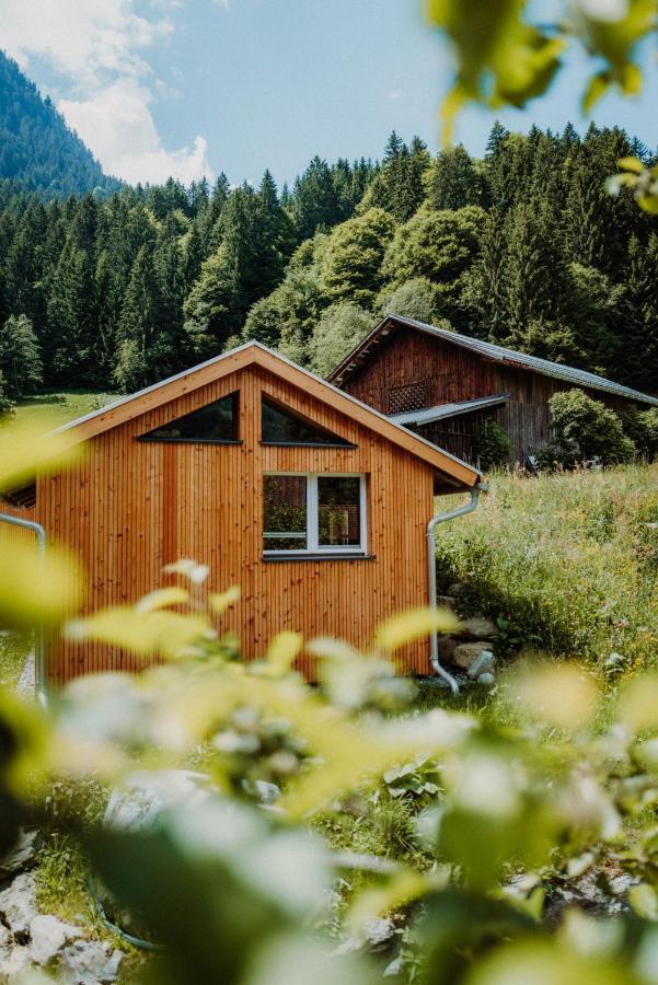 Ferienwohnung Haus Galgenul Sankt Gallenkirch Exterior foto