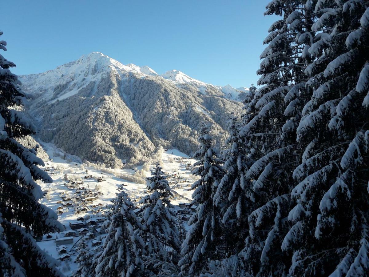 Ferienwohnung Haus Galgenul Sankt Gallenkirch Exterior foto